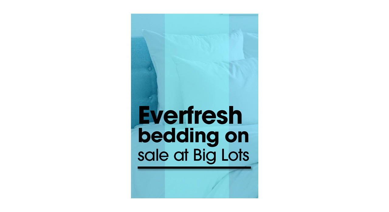 Everfresh bedding on sale at Big Lots